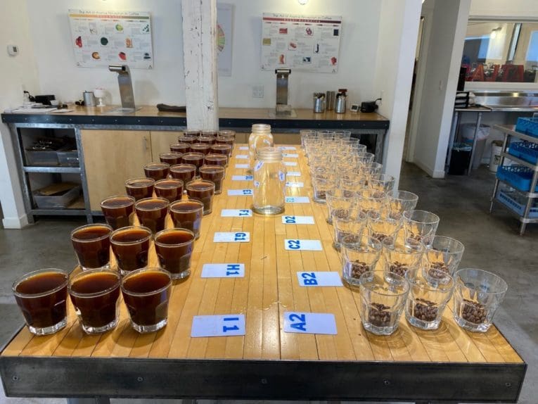Cupping Session